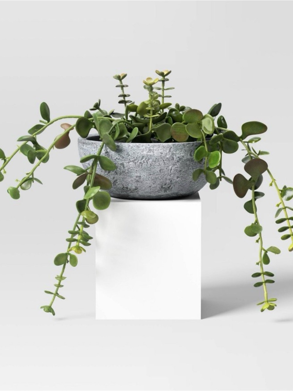 10" Trailing Sedum Artificial Plant - Threshold™ designed with Studio McGee
